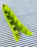 The inspiring image of the pea pod structure.